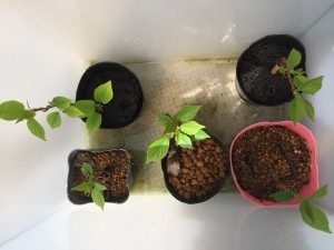 写真 2014-04-12 12 57 54