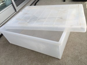 写真 2014-05-18 12 59 46