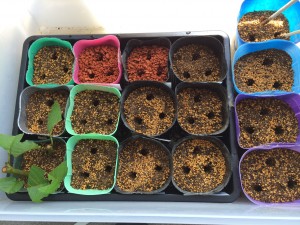 写真 2014-06-15 13 02 30