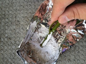 写真 2014-06-15 13 05 22