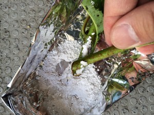 写真 2014-06-15 13 05 40