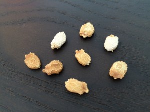 写真 2015-05-31 10 17 05