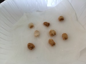 写真 2015-05-31 10 23 30