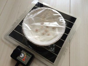 写真 2015-05-31 10 26 13